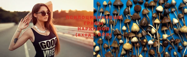 крисы Бронницы