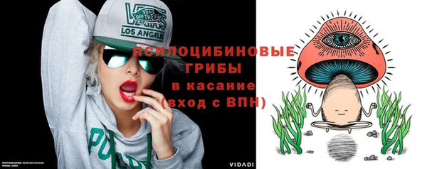 крисы Бронницы