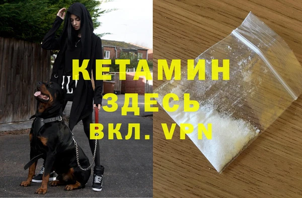 крисы Бронницы