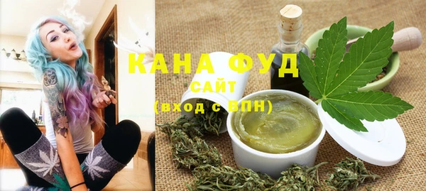 стафф Бородино