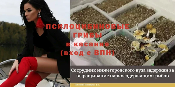 твердый Богородицк