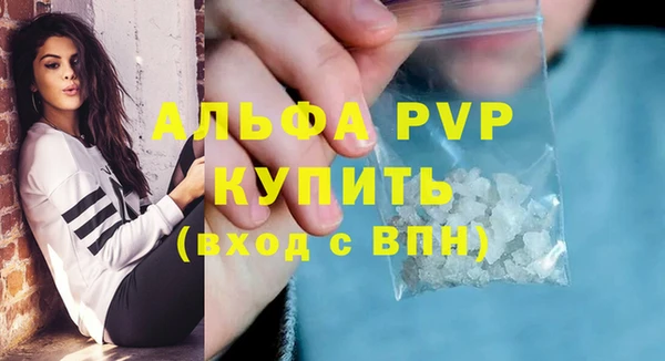 стафф Бородино